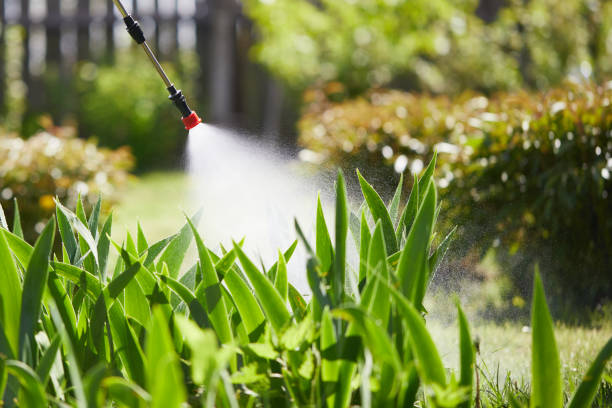Tamper-Resistant Bait Stations for Rodents in Superior