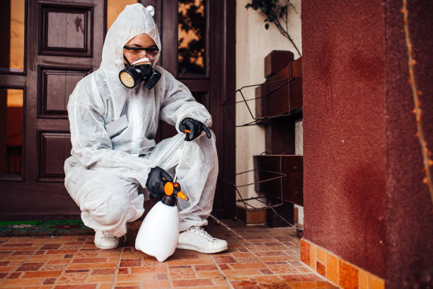 Attic and Crawl Space Rodent Treatment in Superior