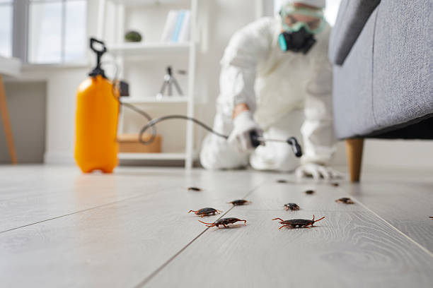 Commercial Rodent Management in Superior